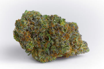 Hashburger
