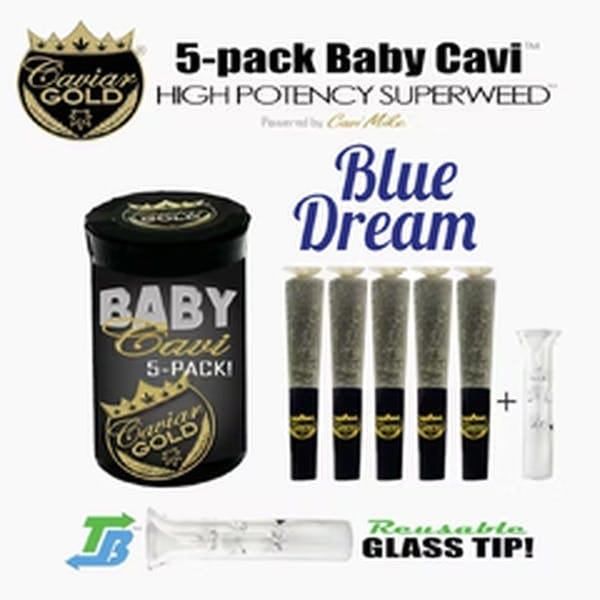 Caviar Gold: Blue Dream Baby-cavi