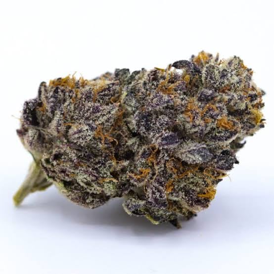 Gelato