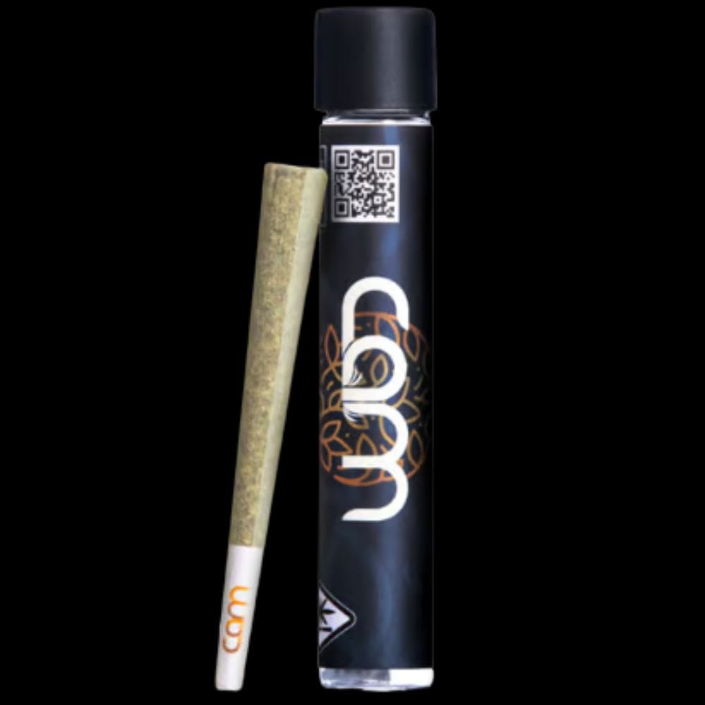 CAM — Durban Haze
