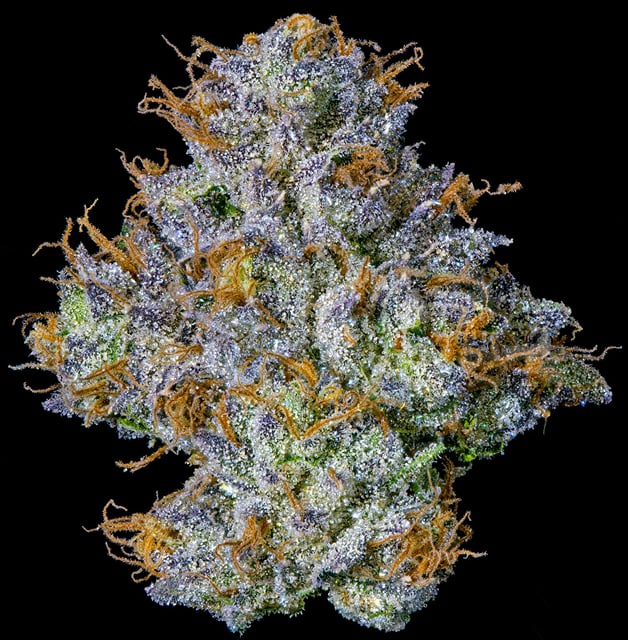 Rapper Weed