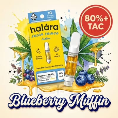 Halara: Blueberry Muffin