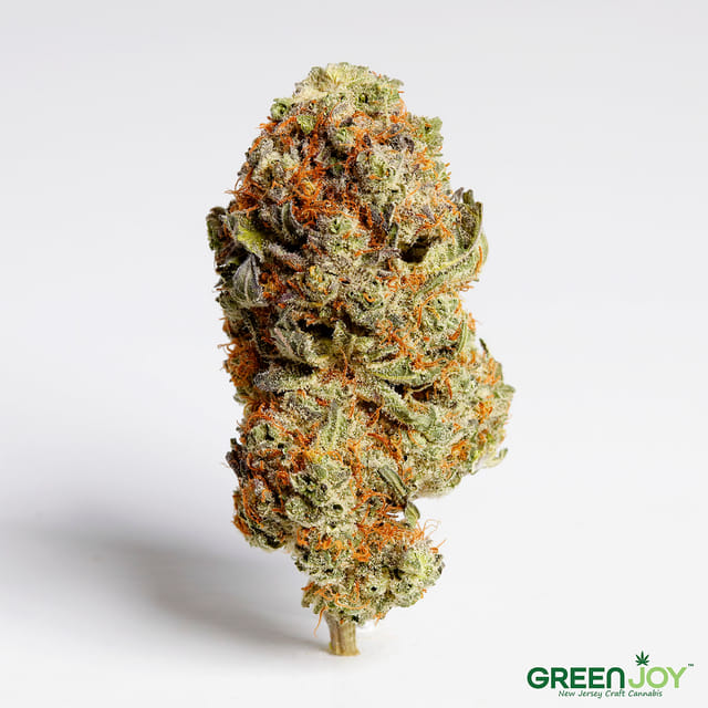 Cheddar Cheeze | Flower | 3.5g