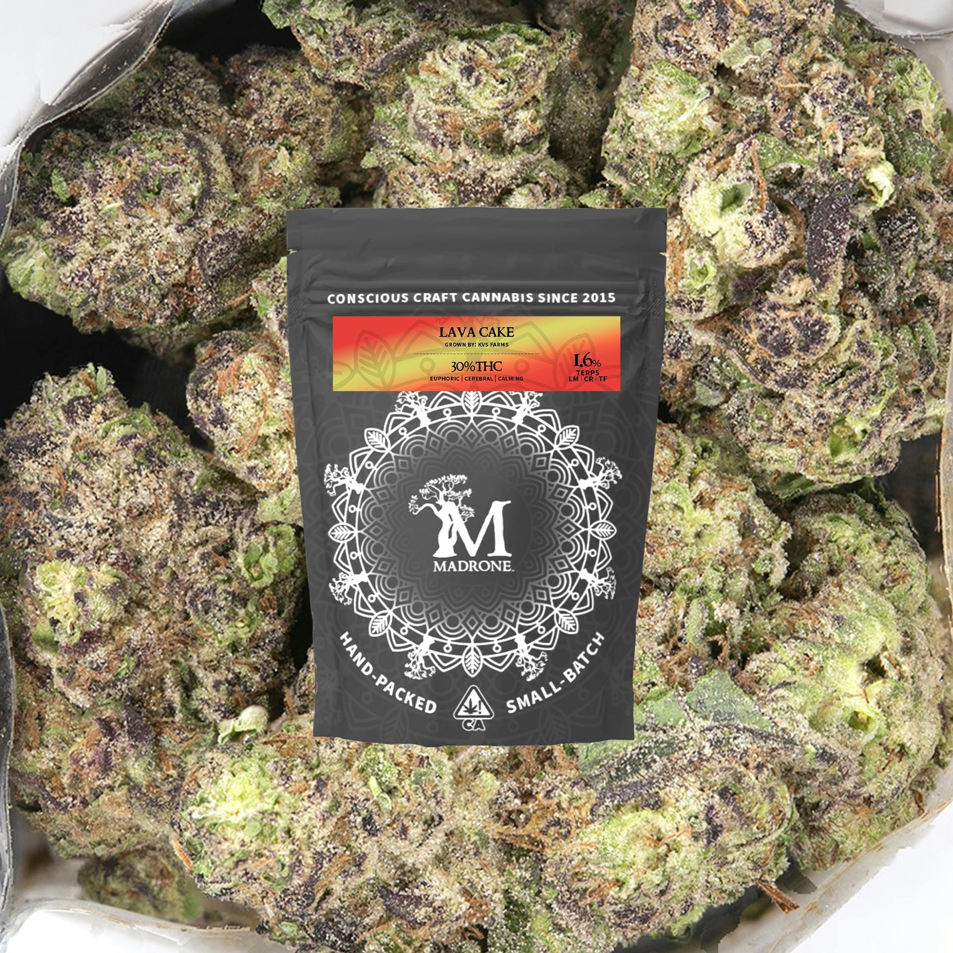 Madrone: Lava Cake