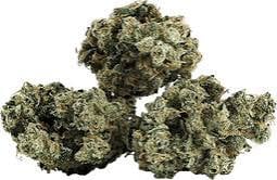 Jack 2 - 7g