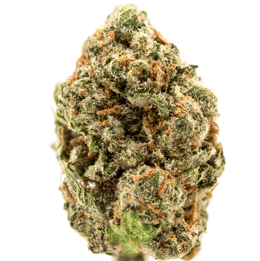 Humo: Hermosa, Gh
