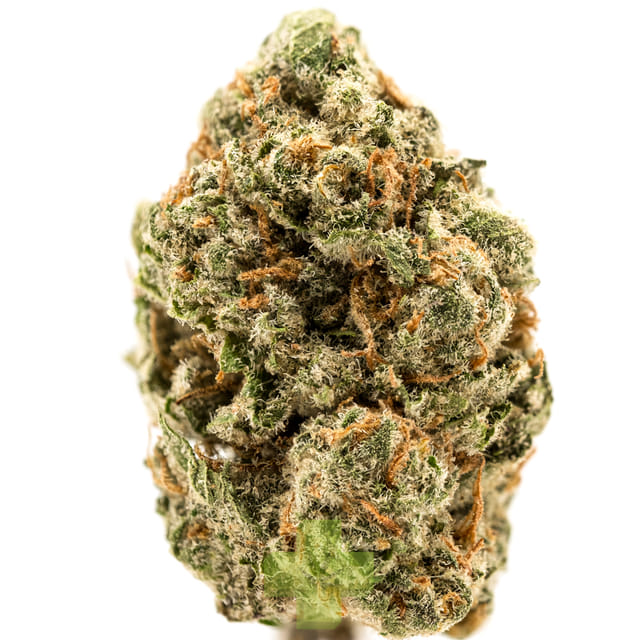 Humo: Hermosa, Gh