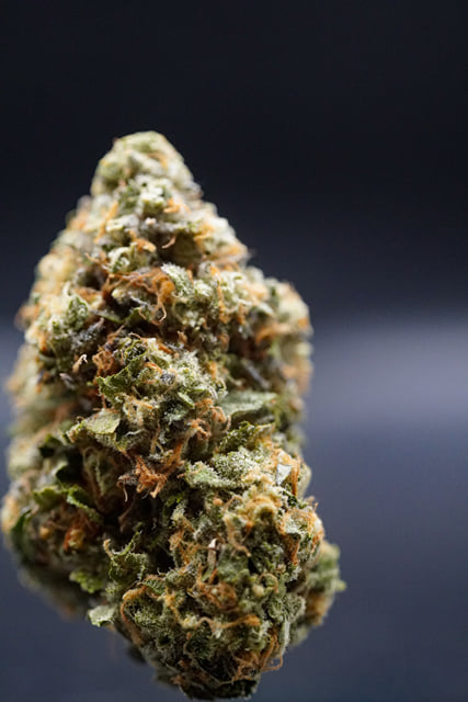 MilkWeed | Magic Pop Rocks | Flower | 3.5g