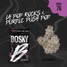 Bosky: LA Pops Rocks X Purple Push Pop