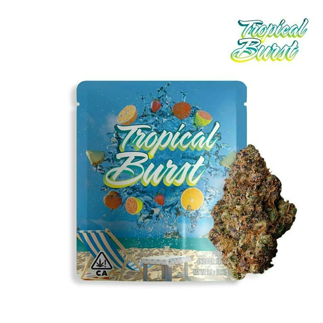 Seed Junky Tropical Burst 8th