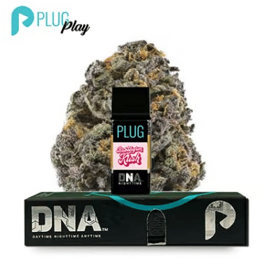 PLUGplay DNA - Bubblegum Kush PLUG - 1g