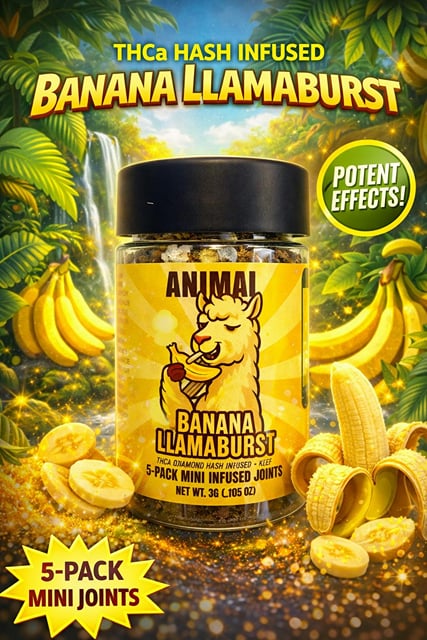 Banana Llamaburst - HASH Infused THCa Diamond + Kief 5pk (3G) Mini Joints