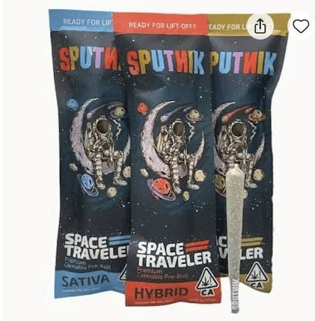 Sputnik: Space Traveler