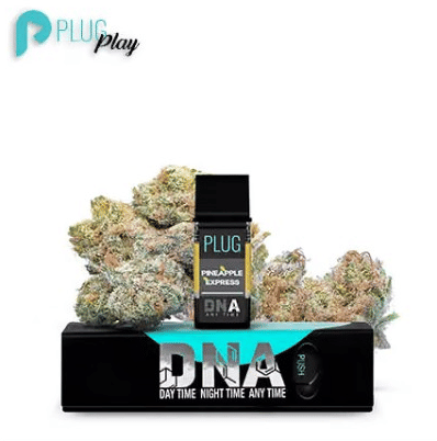 PLUGplay DNA - Pineapple Express PLUG - 1g