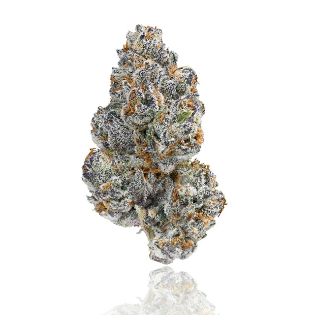 Chrome - Indoor Flower