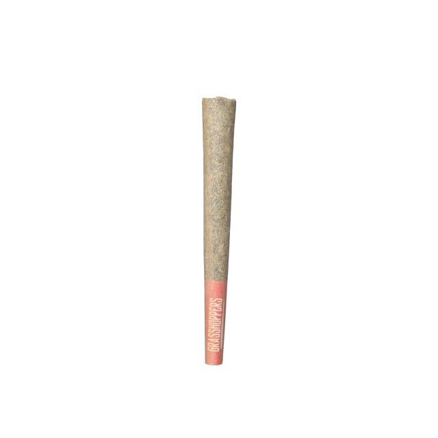 Skywalker OG | 1g Infused Pre-Roll