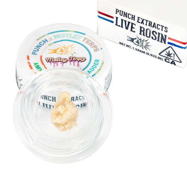 Punch | Amnesia Toronja | Tier 4 | Live Rosin | Cold Cure Badder | 1g
