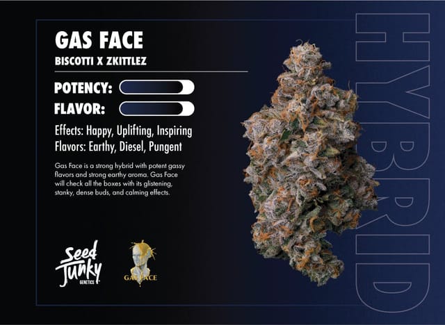 Gas Face 7g