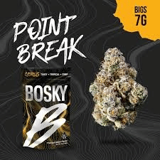 Bosky: Point Break