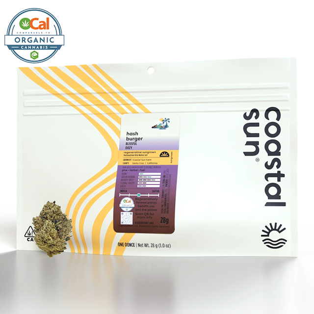 Hash Burger | 28g