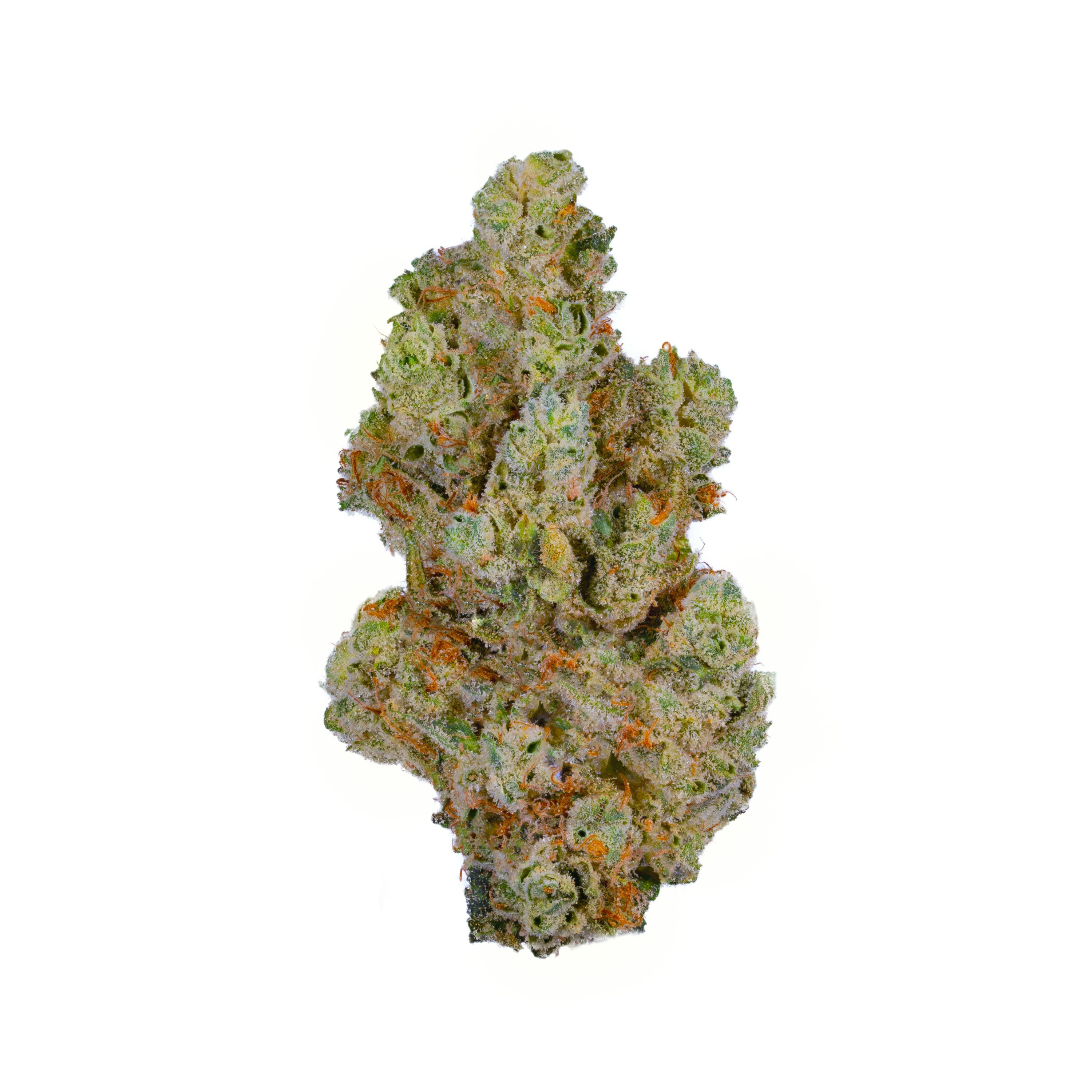 FRIENDO: GG #4