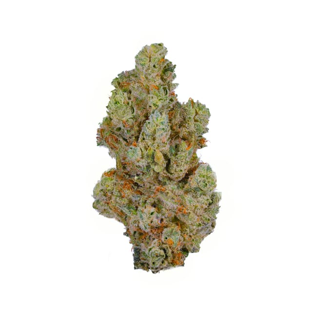 FRIENDO: GG #4