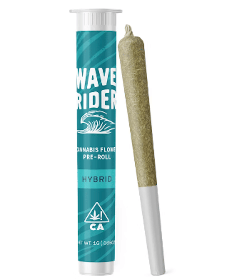 Wave Rider: Sundae Driver