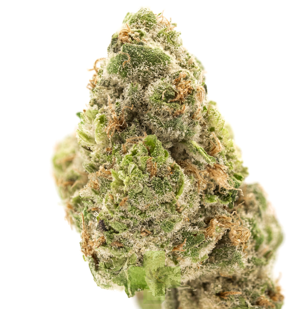 NUG: Apple Gas