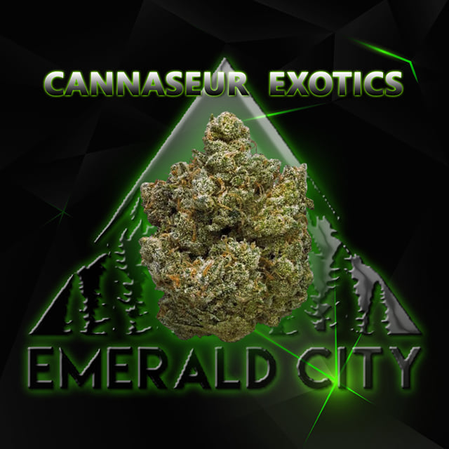 Emerald Elite - 1/8oz - White Gorilla - (Cannasieur Exotics)