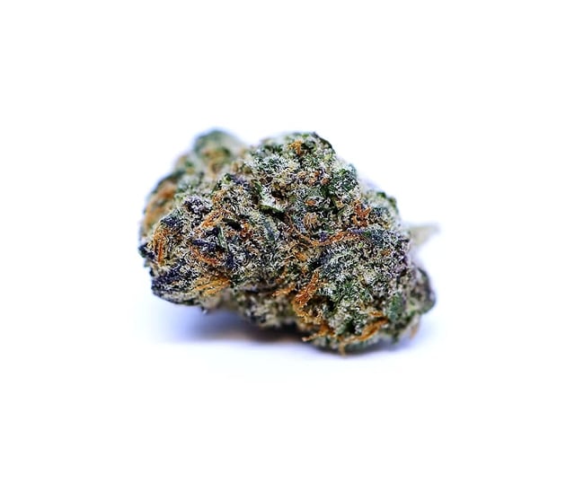 Bishop Boyz Watermelon Slushy 14 Gram Big Nugs