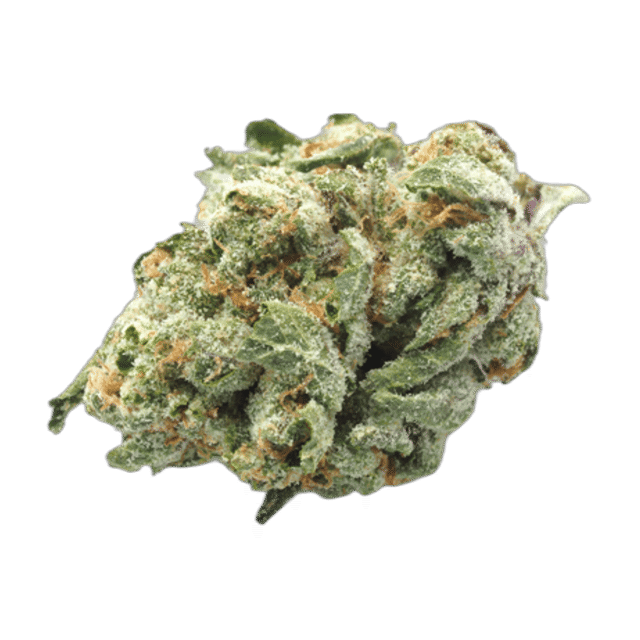 Sugar Tarts - Quarter Flower