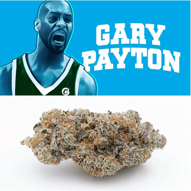 *Gary Payton