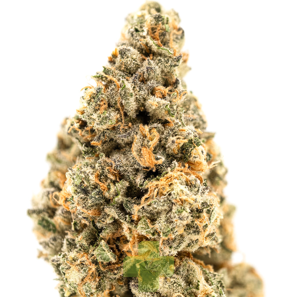Preferred Gardens: Durban Poison