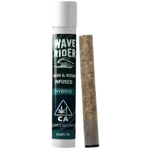 Wave Rider: Gelato - &