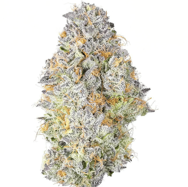 Road Zoda | Big Buds