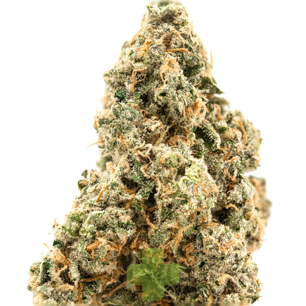 SEED JUNKY: Lemon Fruz