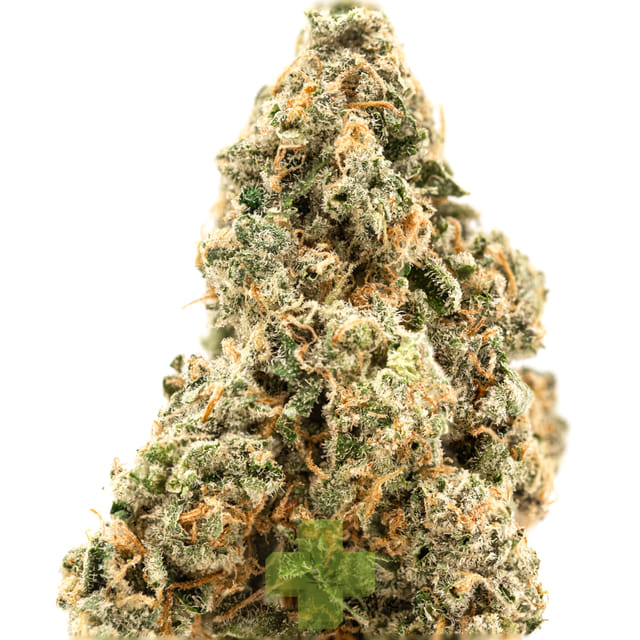 SEED JUNKY: Lemon Fruz