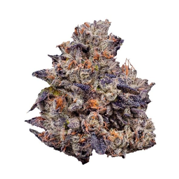 LEMON CHERRY GELATO 1/8 | FIG FARMS