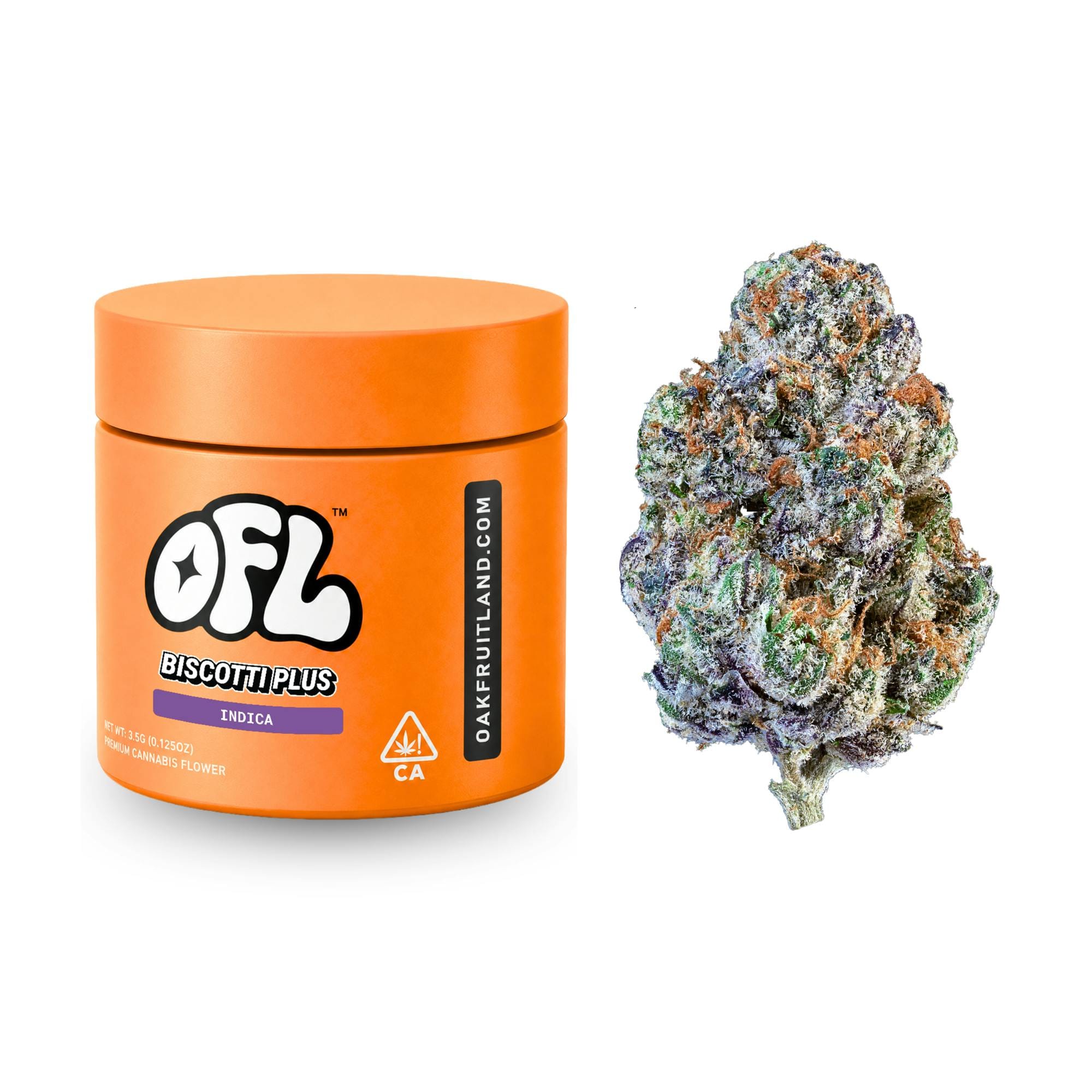 Oakfruitland: Biscotti Plus Jar