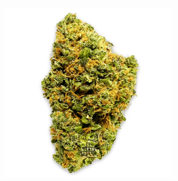 Guava