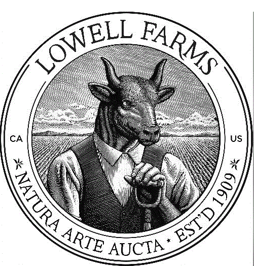 LOWELL Infused Pre-Rolls, Sativa, The Lifted, 10pk