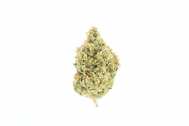 Headband