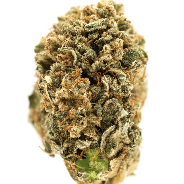 Most Wanted: Banachee X Mandarin Tart X Slury3