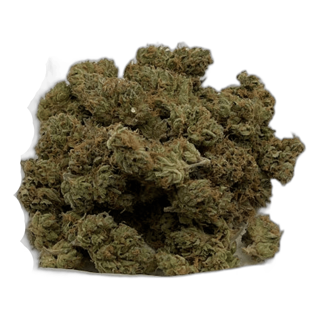 Zaalander - Premium Flower