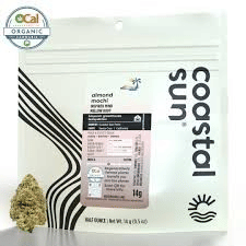 Coastal Sun: Almond Mochi