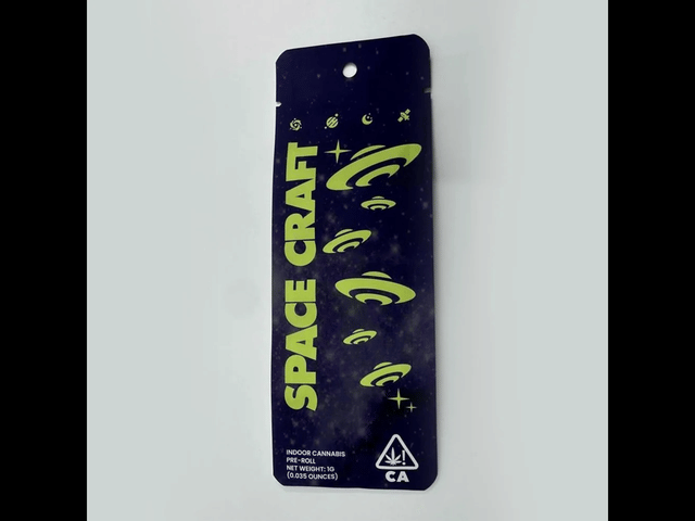 Space Craft: Cosmic Cookies