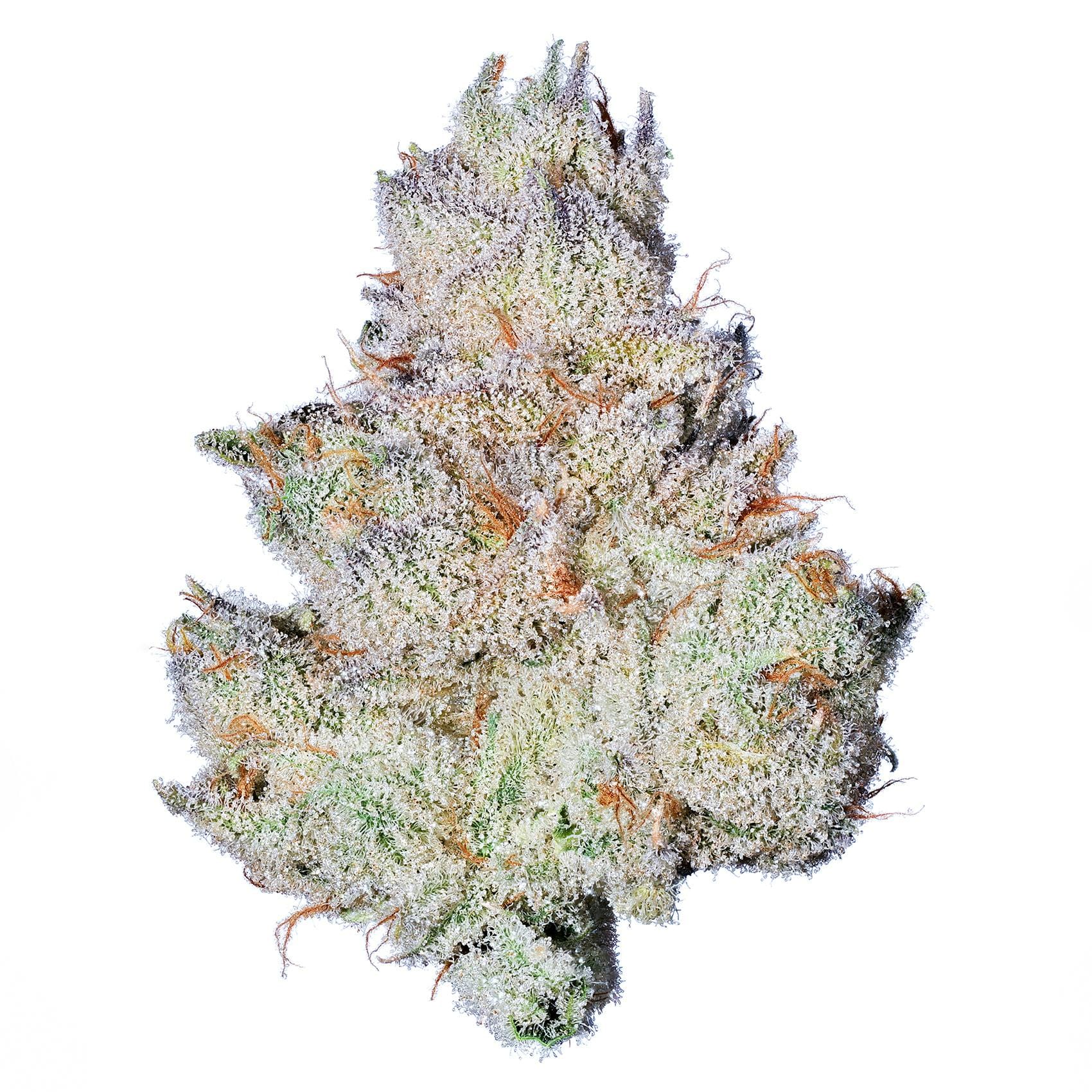 Fig Farms: Strawberry Guava