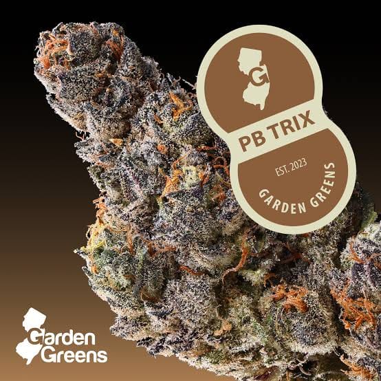 BACKPACKBOYZ: Pb Trix
