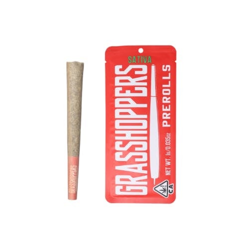 Fruit Punch | 1g Infused Pre-Roll