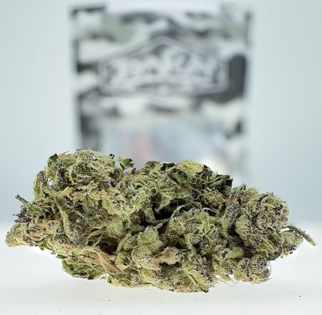 Skunk